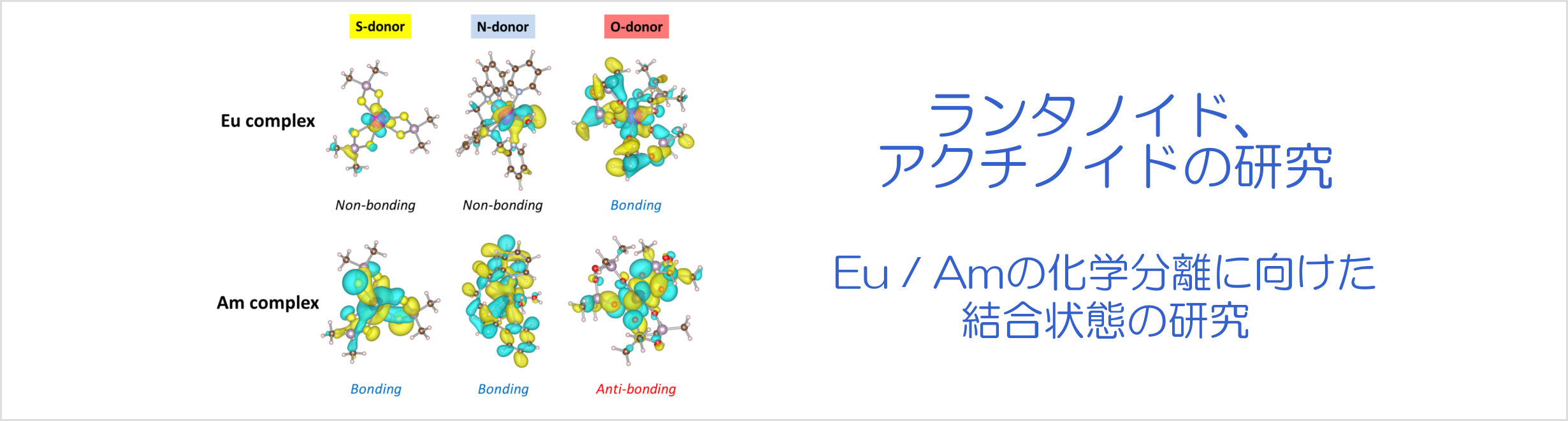 ランタノイド、アクチノイドの研究-Eu/Amの化学分離に向けた結合状態の研究
