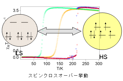 スピンクロスオーバー挙動