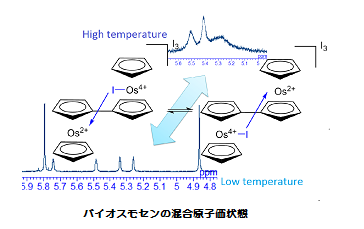 バイオスモセンの混合原子価状態