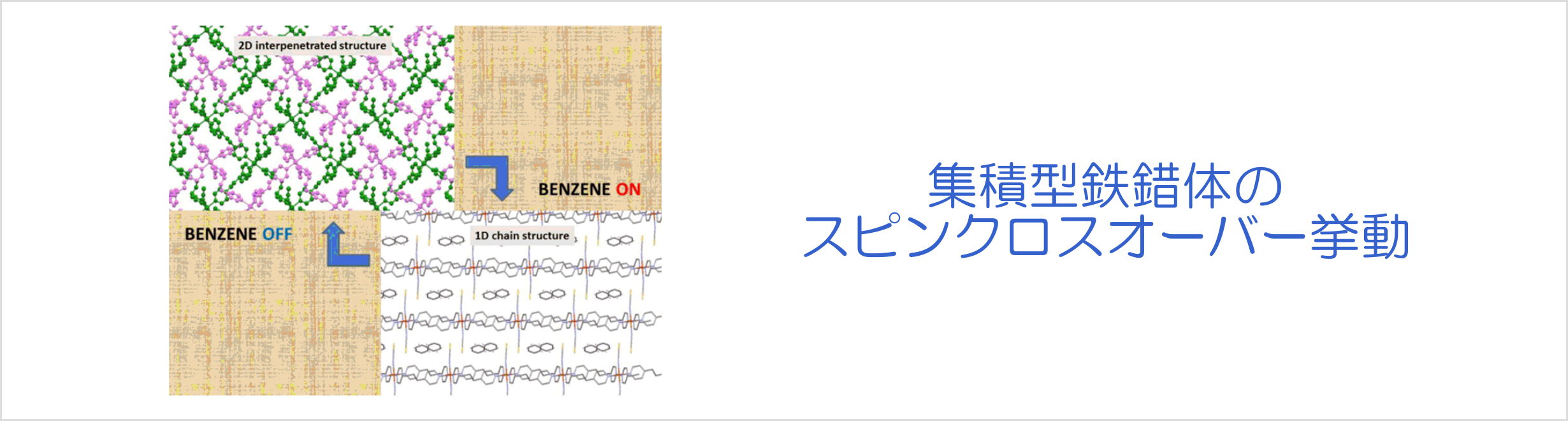 集積型鉄錯体のスピンクロスオーバー挙動