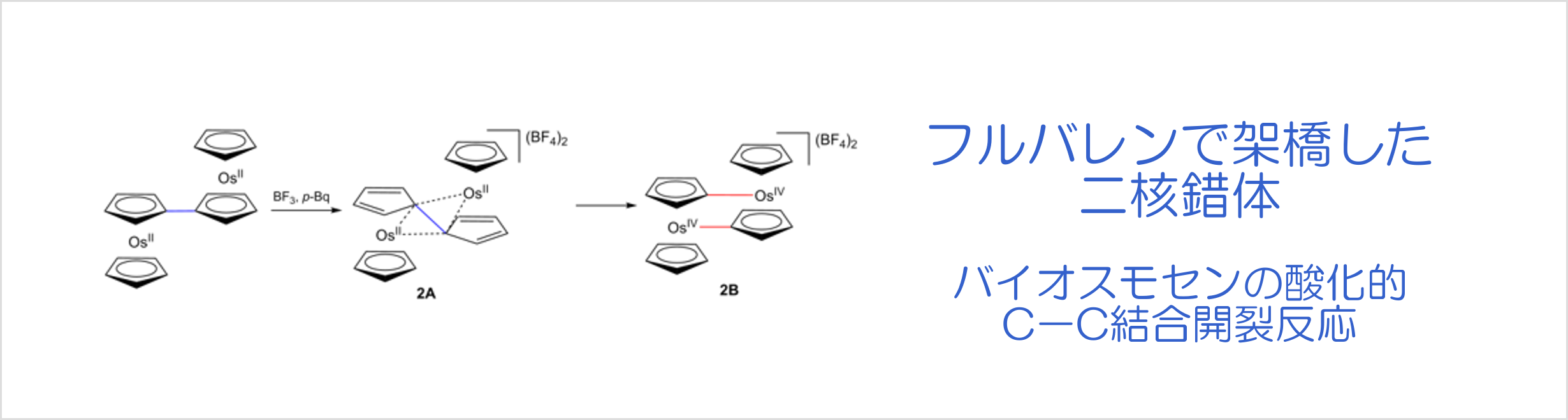 フルバレンで架橋した二核錯体-バイオスモセンの酸化的C-C結合開裂反応