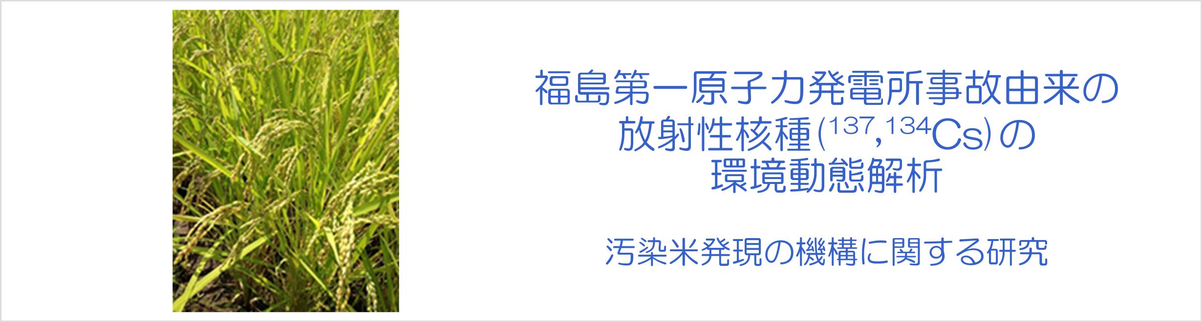 福島第一原子力発電所事故由来の放射性核種(137,134Cs)の環境動態解析-汚染米発現の機構に関する研究