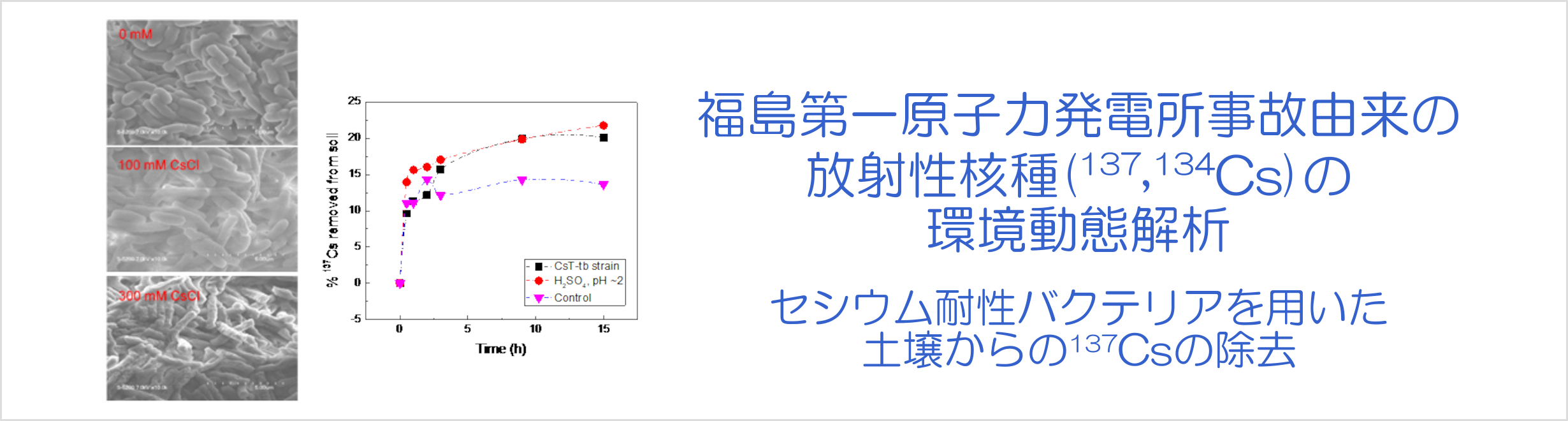 福島第一原子力発電所事故由来の放射性核種(137,134Cs)の環境動態解析-セシウム耐性バクテリアを用いた土壌からの137Csの除去