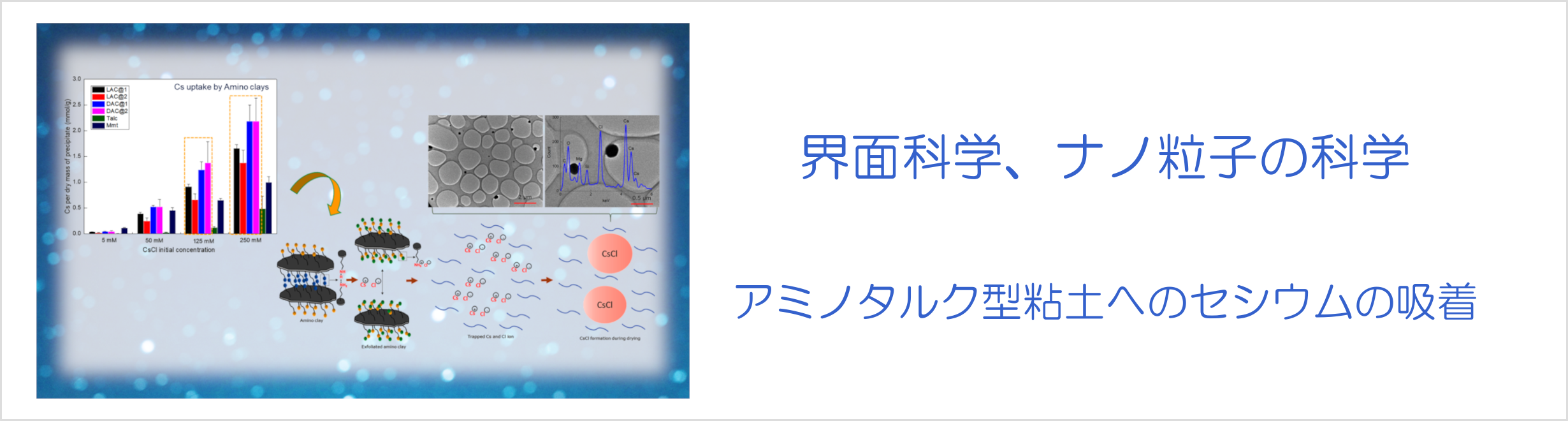 界面科学、ナノ粒子の科学-アミノタルク型粘土へのセシウムの吸着